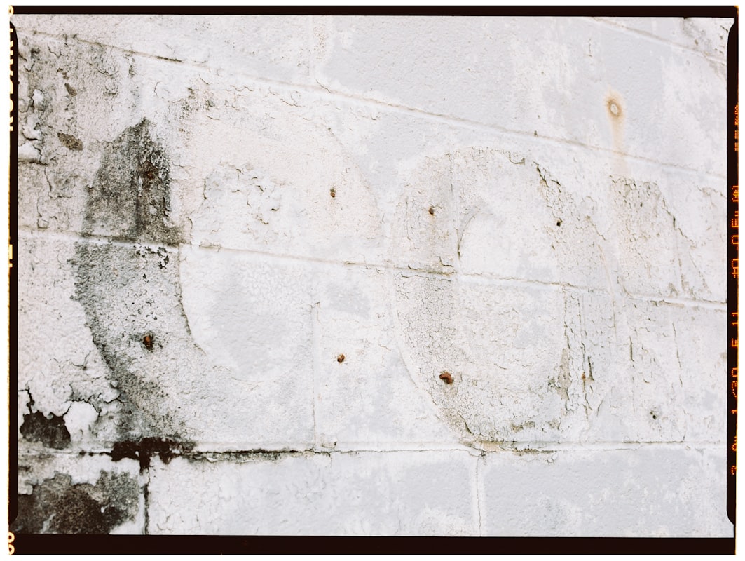 Basement Water Removal service in Inglewood, CA