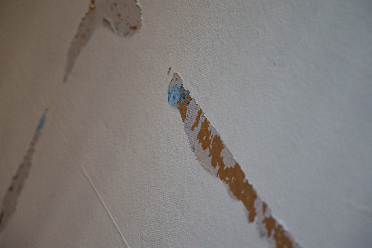 Structural Drying service in Inglewood, CA